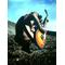 卒業LIVE 2009[D:F9A9]