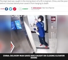 海外発 Breaking News エレベーターで宙吊りになった犬 宅配業者が危機一髪で救出 中国 動画あり